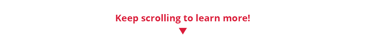 LandingPage_Components_V3-Section-1E.png
